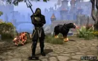 Conta The Elder Scrolls Online ESO, CP 863, não é Steam