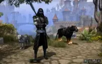 Conta The Elder Scrolls Online ESO, CP 863, não é Steam