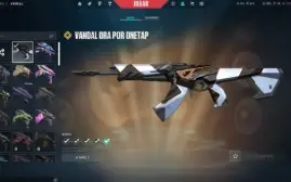 Valorant Conta Full Acesso Faca Rara do Beta