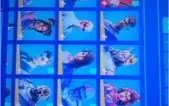 Conta fortinite 91 skins ,glow,ikonik e salve o mundo
