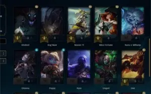 conta D4 varias skins no espólios