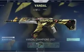 500 VP, 4 SKINS DE VANDAL, 6 DE PHANTOM, 3 FACAS, 3 PASSES