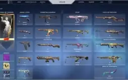 500 VP, 4 SKINS DE VANDAL, 6 DE PHANTOM, 3 FACAS, 3 PASSES