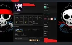 Conta Steam | cs:go Prime| Muitas Skins e Medalhas