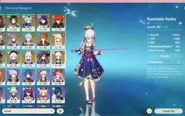 CONTA GENSHIN Ar58 - Ayaka e Ayato + Armas - 24 itens 5*