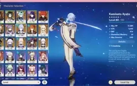 CONTA GENSHIN Ar58 - Ayaka e Ayato + Armas - 24 itens 5*