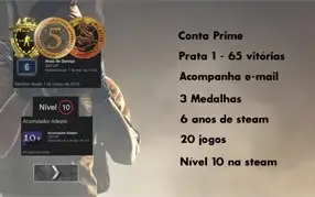 Steam Level 10, 20 jogos, Moeda Fogo Selvagem e 5 anos