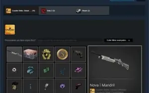 Steam Level 10, 20 jogos, Moeda Fogo Selvagem e 5 anos