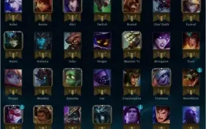 Conta Ouro 5 - Borda Platina - 34 Champ - 16 Skins