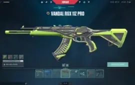 Conta Valorant - Muitas Skins - Valor Top