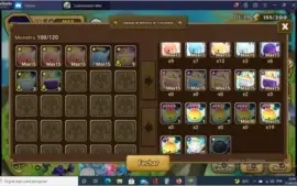 Conta Global 25 Nat 5 com destaque para o Ragdoll