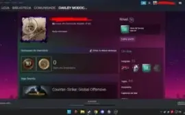 Conta steam 18 anos lvl 51