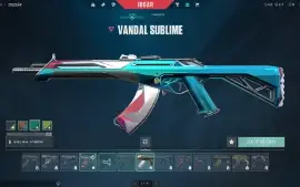 Conta Valorant Asc 1 Com Skins (Mmr Alto)