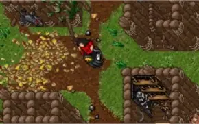 Druid Lvl 390 em MUNDO VERDE (Venebra)!