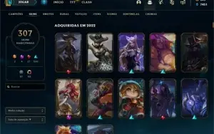 Conta D1, Todos os Champs, Icones e emote Challenger