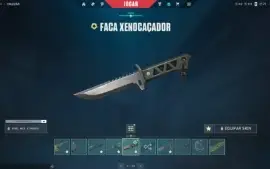 Conta Beta Com 2 Pacotes +Skins (Todos Os Agentes)