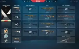 Conta Beta Com 2 Pacotes +Skins (Todos Os Agentes)