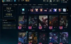 Bronze 2 com TODOS os champs e 282 Skins ( ADC / JG )