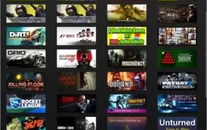 Conta Steam Nivel 12, 3 anos,33 jogos, Gta V, Rainbow6, CSGO