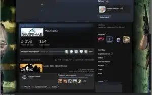 Conta Steam Nivel 12, 3 anos,33 jogos, Gta V, Rainbow6, CSGO