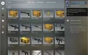 CONTA CS GO AK 2 MM / LV 16 GC/ LV 5 FACEIT - COM PRIME