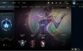 VENDO MINHA CONTA DO LOL 292 SKINS 25 PAG DE RUNAS LV 357