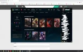 Conta 84 campeões 24 skins, muito boa e barata.