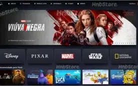DISNEY+ 6 MESES - 7 PERFIS - CONTA SÓ SUA!
