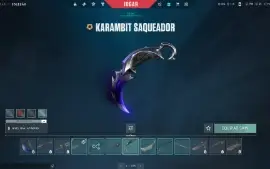 Vendo Conta Valorant Full Acesso 54 Skins | 5 Facas
