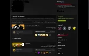 conta steam e cs MAIN LVL 55 +100jogos