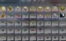 Conta Cs2 Com 10 Medalhas E Prime