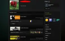 Conta Cs2 Com 10 Medalhas E Prime