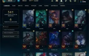 Conta Main jg LV 255/115 Skins