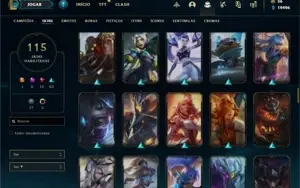 Conta Main jg LV 255/115 Skins