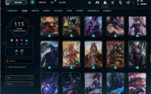 Conta Main jg LV 255/115 Skins