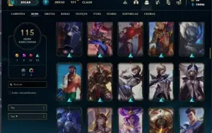 Conta Main jg LV 255/115 Skins