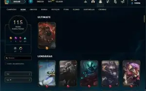 Conta Main jg LV 255/115 Skins