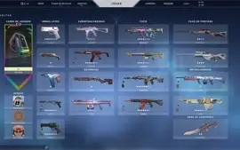 Conta de valorant com muitas skins