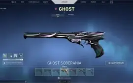 Conta de valorant com muitas skins