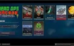 Conta Warzone com Rose + 2.20 KD + 5 Classes Platina