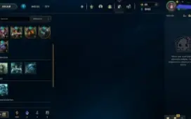 Conta lol, 240 skins, muitas skins raras