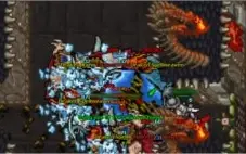 NAVI WALLS ED + EK
