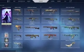 Conta valorant Varias Skins/ Full acesso