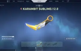 Conta valorant Varias Skins/ Full acesso