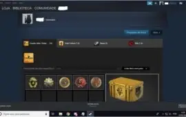 Conta Steam Raríssima -  CS GO Prime medalhas + P2000 INSANA