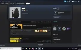 Conta Steam Raríssima -  CS GO Prime medalhas + P2000 INSANA