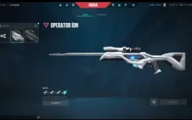 Conta valorant com skins! LVL 493