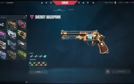 Conta valorant com skins! LVL 493