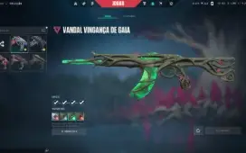 Conta valorant com skins! LVL 493