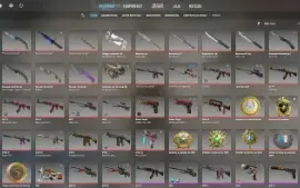 Conta STEAM Counter-Strike (CS/CSGO) com R$ 50.000 em skins